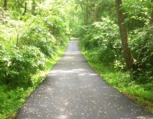 Bicycle and Cart Paths